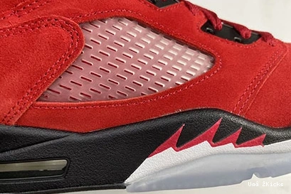 Reliable 5 DD0587-600 595 “Raging Jordan Air Bull” 0717